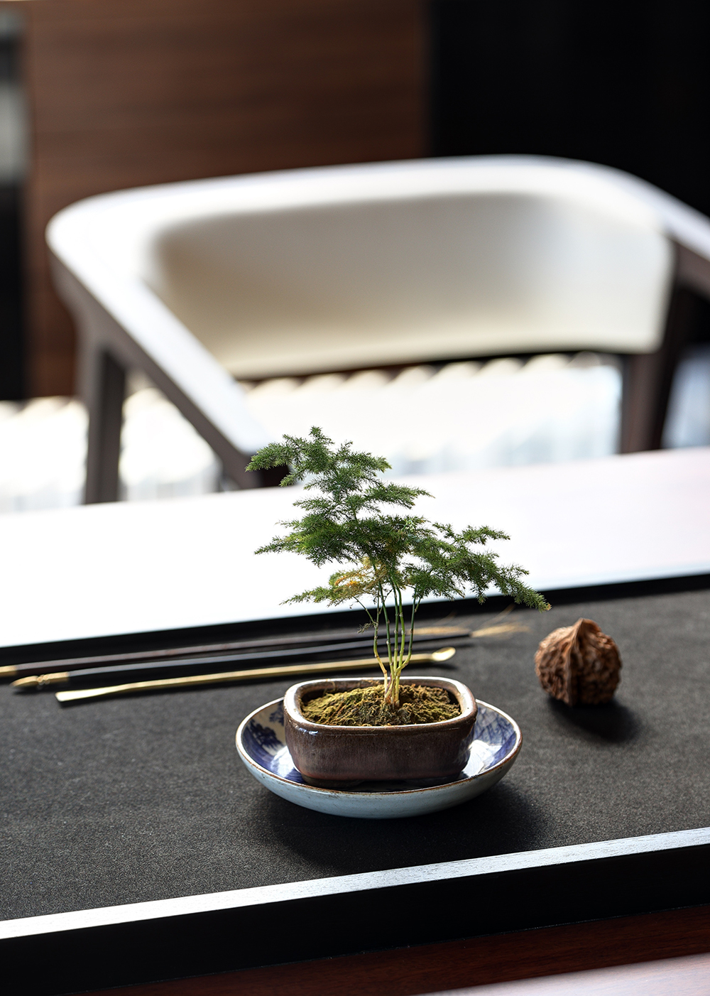 1604564035862569.jpg 新闻稿配图15.jpg