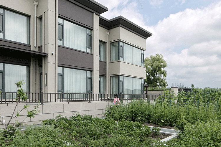 1736307177798510.gif 3动图.gif